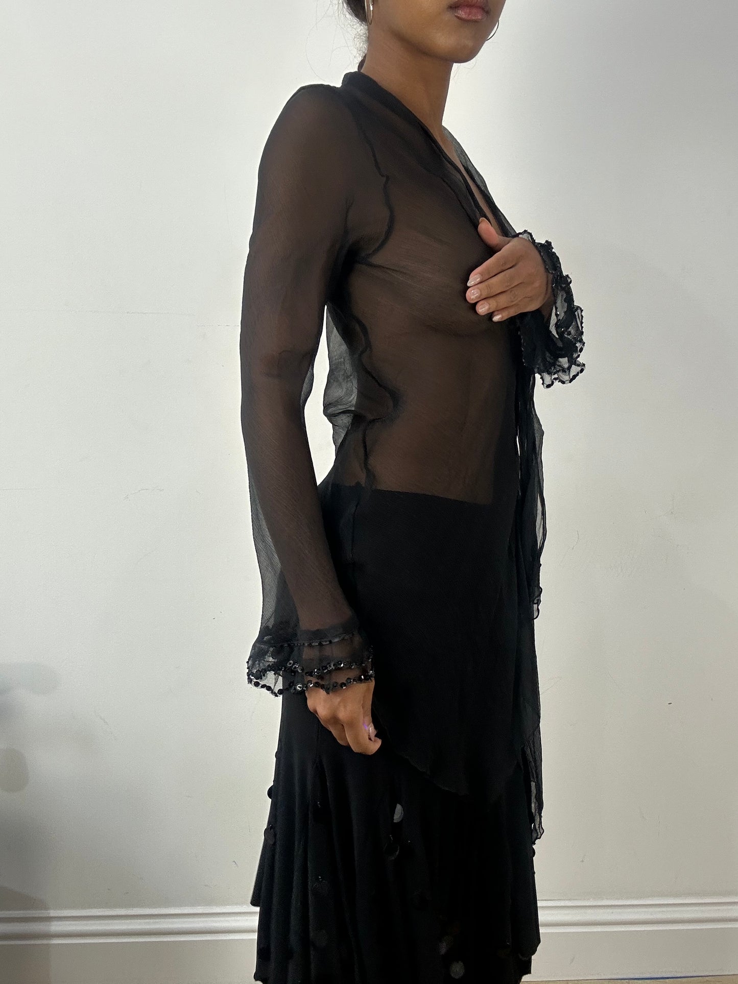 🪡BEST PICKS | small black sheer long sleeve top