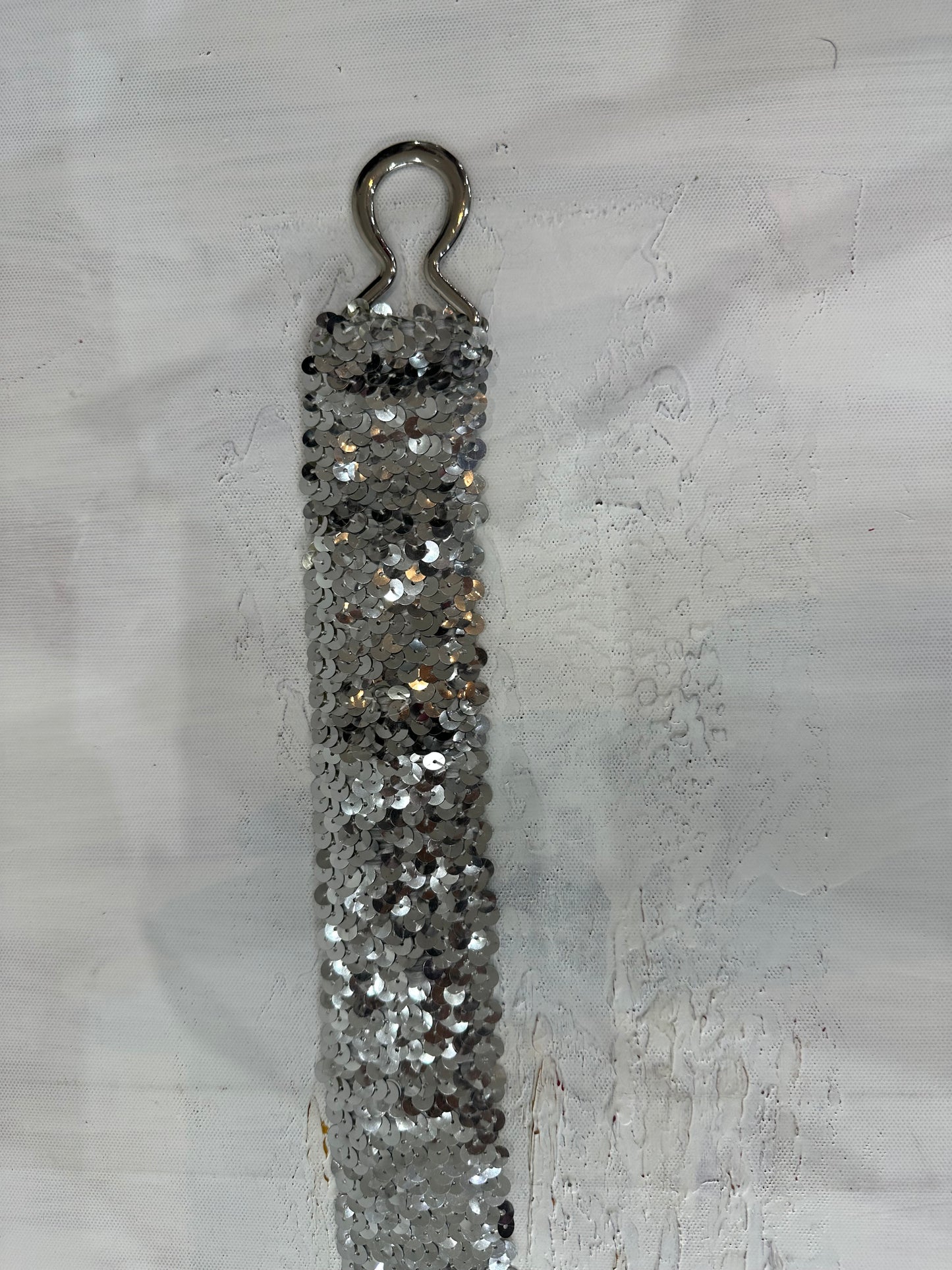 vintage edit: halloween | silver sequin belt with silver loop hardware