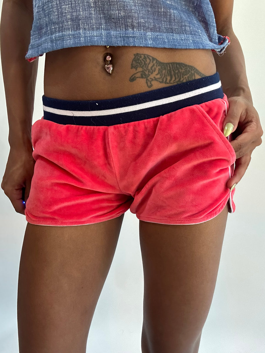 wag drop | extra small pink tommy hilfiger شقراء صغيرة
