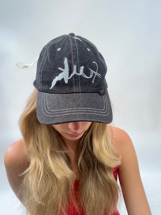 EUROS DROP | dark wash denim french connection cap
