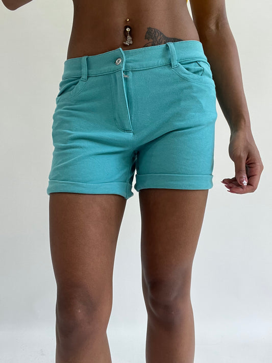 💚zara larsson drop | small blue champion shorts