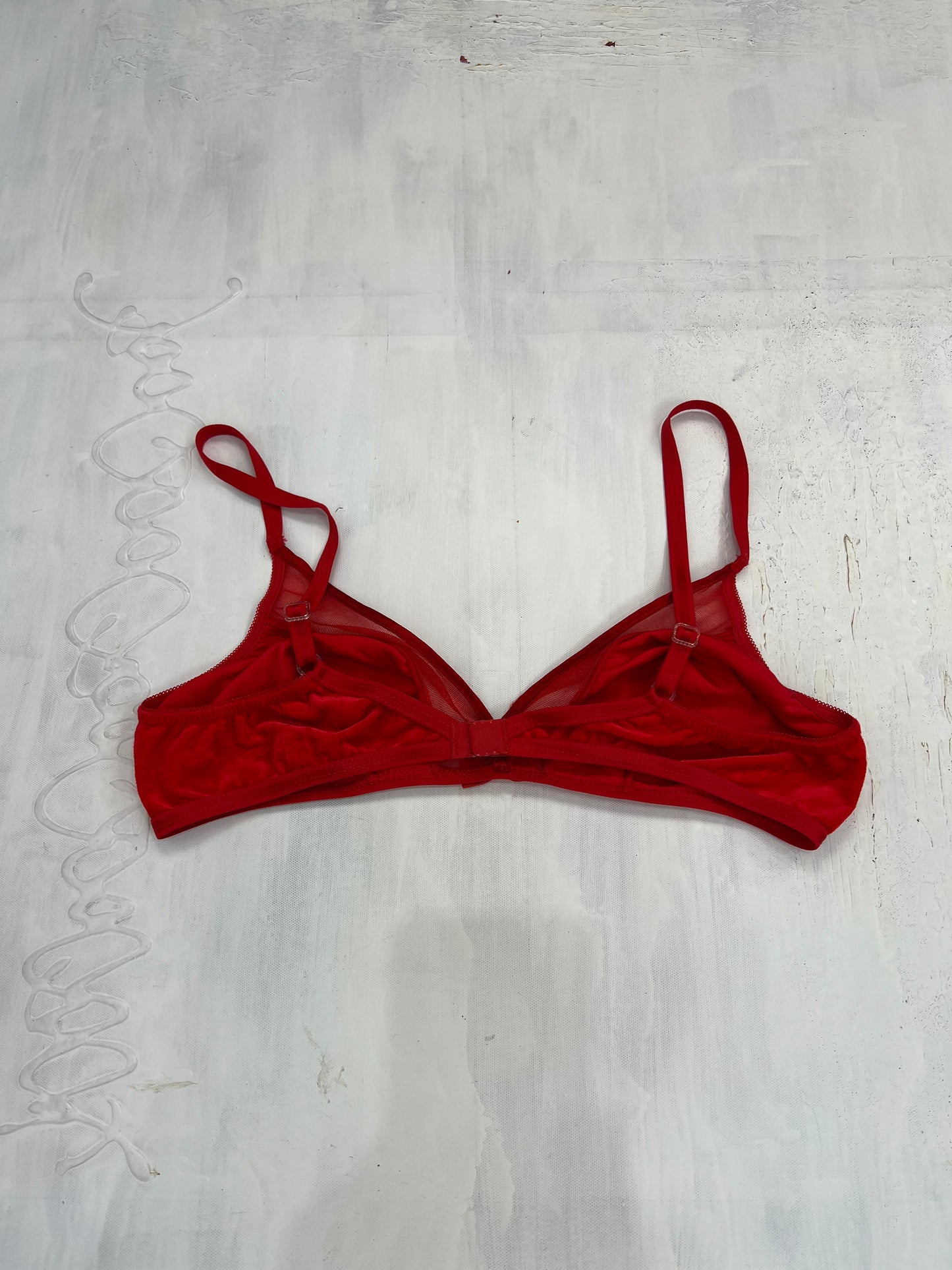 💚 DATE NIGHT | large red velour bra